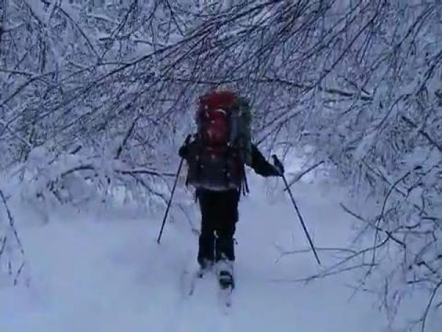 ������ �����