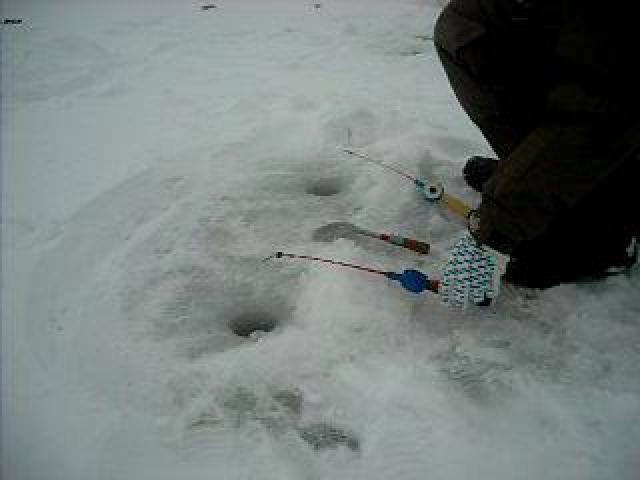 ���� � ���