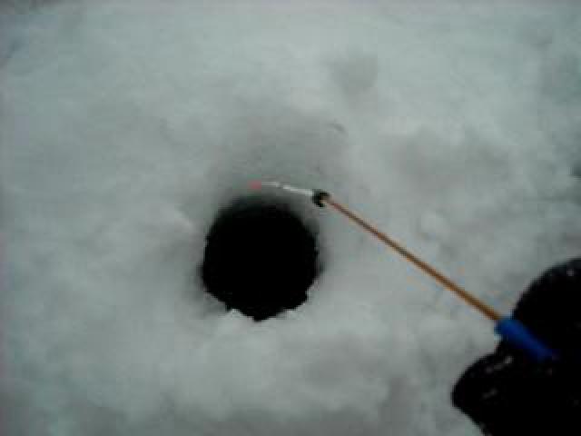 ����� ���̣���