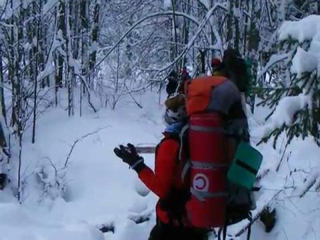 ������������ ��������