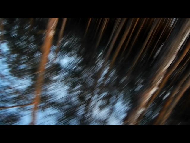 DSCN1677