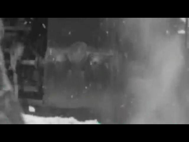 ���� ������ ���������