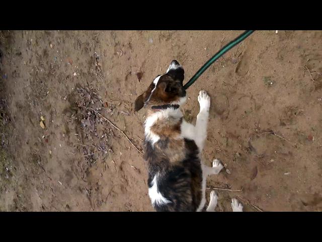 WP 20150424 13 31 17 Pro VT3[1]