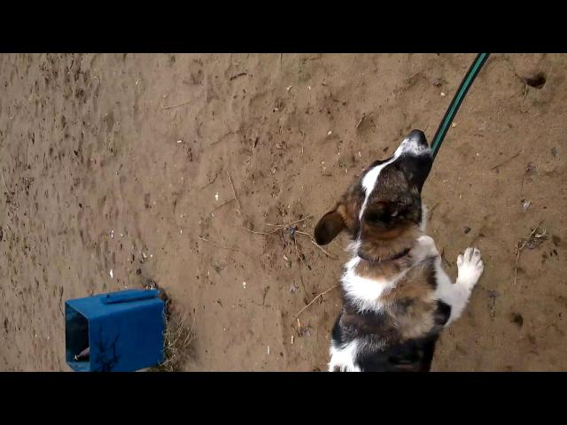 WP 20150424 13 31 17 Pro VT2[1]