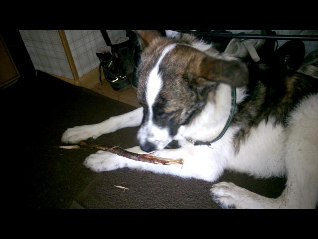 WP 20150424 13 40 19 Pro VT2[1]