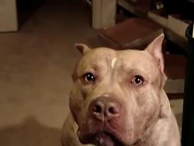 ����� ���� ������� � ����