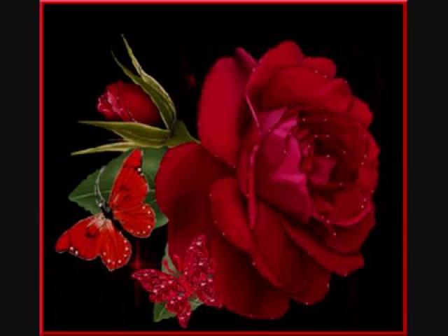 Liberta - Al Bano & Romina Power