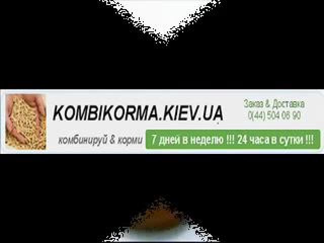 ����������. ����� ������� ���������� �����������.