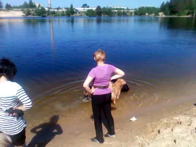 VID 20150527 091950