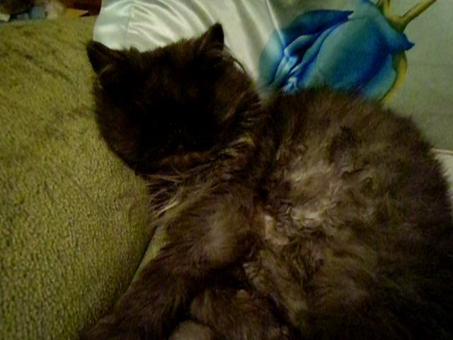 ������ ���� � �����