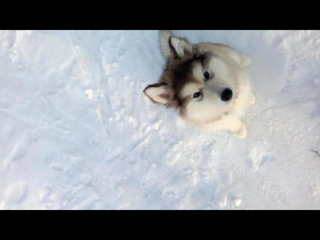 TRIM 20150303 182056