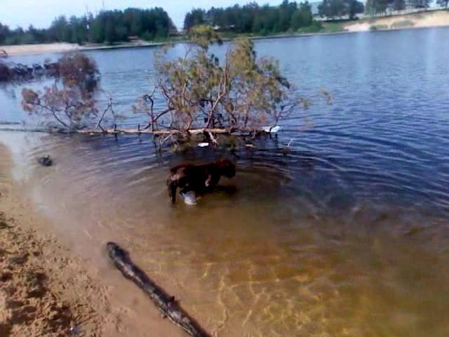 VID 20150531 092707