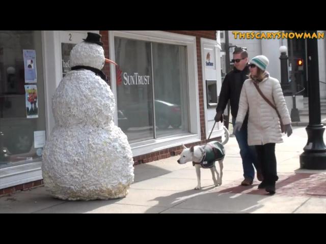 ������ � ��������