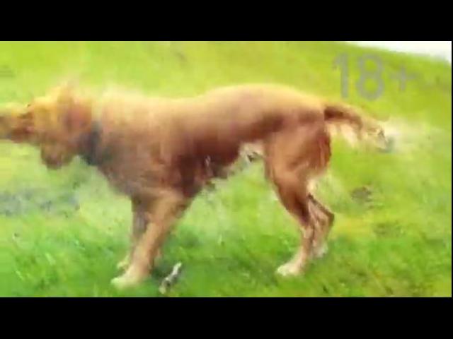 ������ ������������� �� ������ �� �����