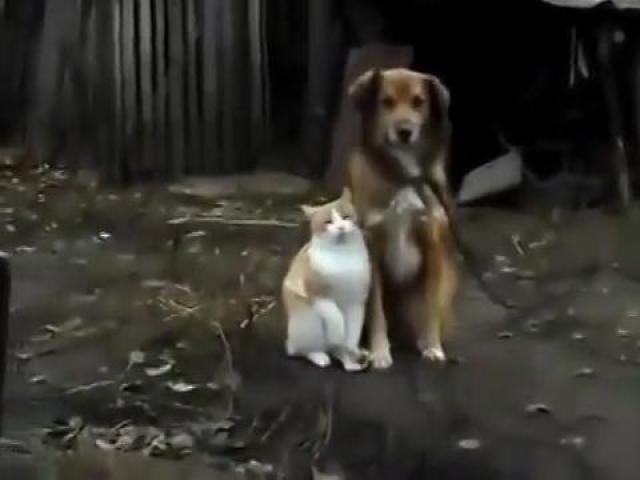 192766465 mp4 h264 aac 1