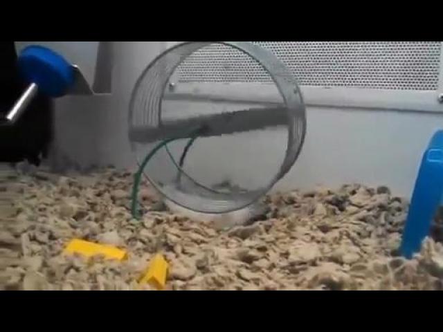 193066626 mp4 h264 aac 1