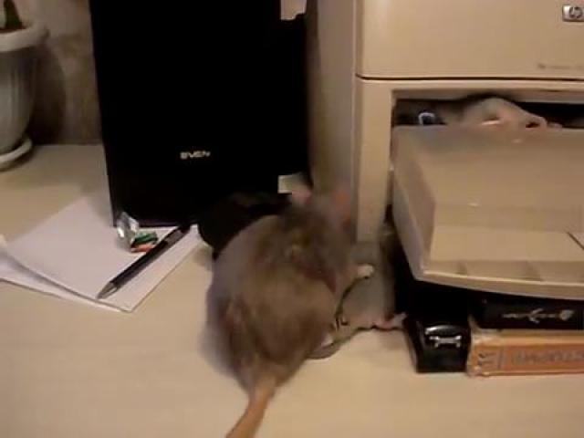 �����- ���� �������� �����.AVI