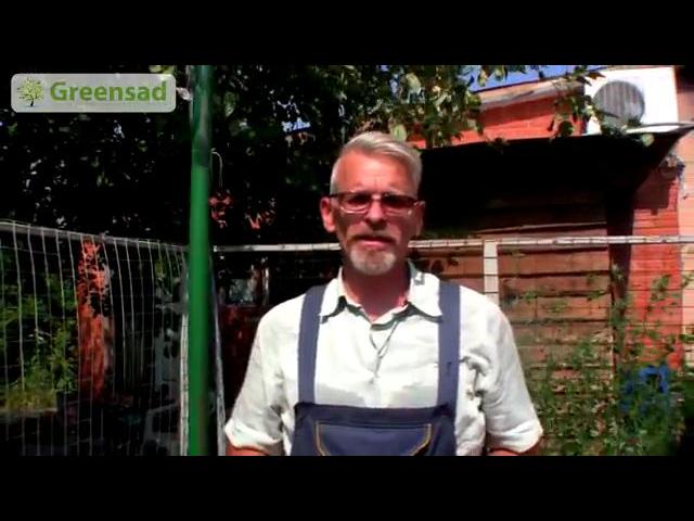 ��� ��������� ��������� ������� �������