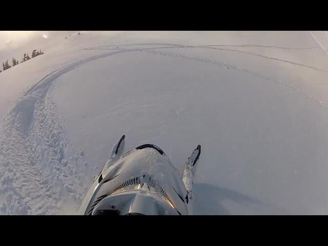 ������ ������