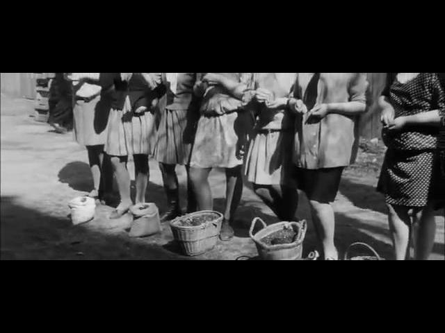 ���������� ���� ����� ���������� ��� ���������