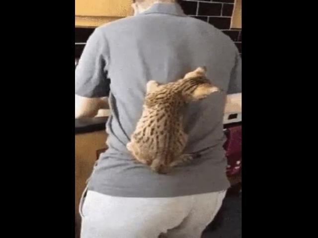 ������!)