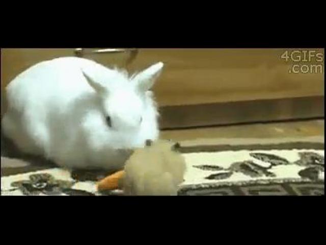 ������, ����� � ��������