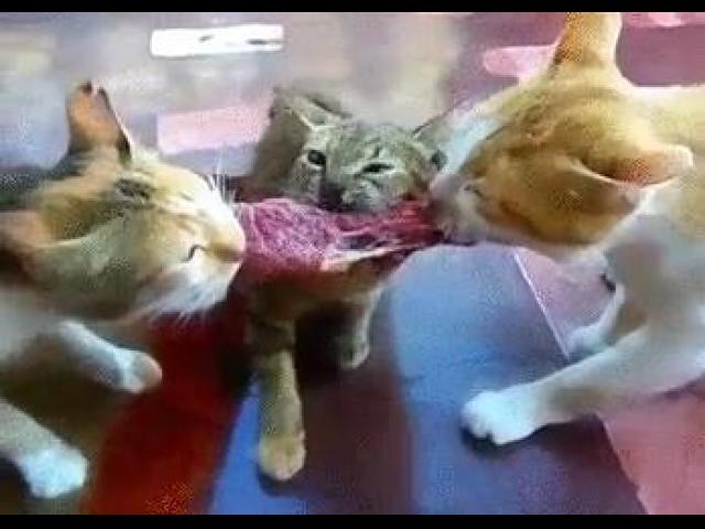 ���� � ����