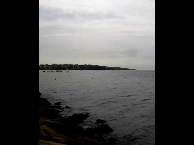 VID 53410823 030702 320
