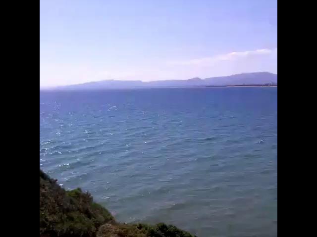 VID 56870526 230215 708