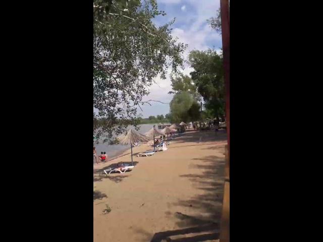 Video-77c13ae77a03b1821b7ff00102131f8a-V
