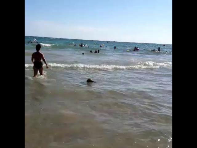 VID 58731229 194145 035
