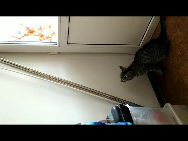 F8A13107-BEF7-4B80-945A-C784837936BC