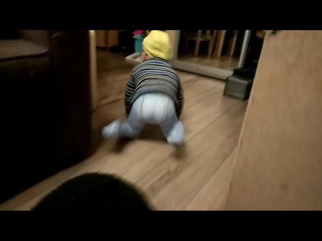 VID 20181024 111245(0)