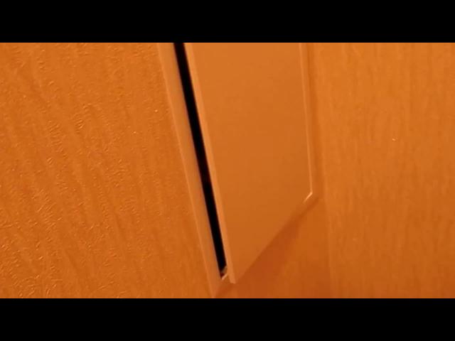 ������ �������