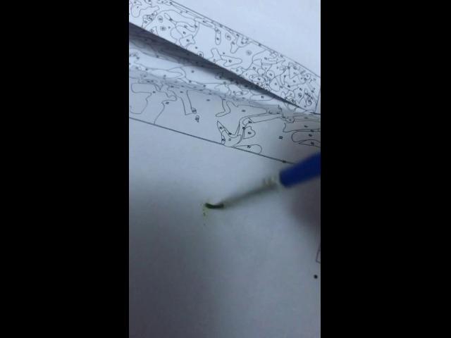 ������ ���� � ����
