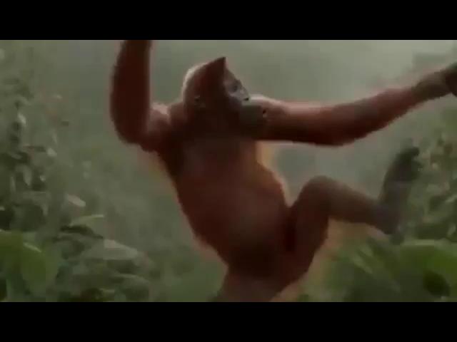 Video-0-02-04-182952c49ba9934128e4cfa031385037ef77453d658b39eef51ac12dd5a50031-V