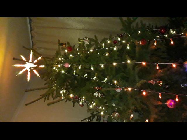 ����������� + ������� ����