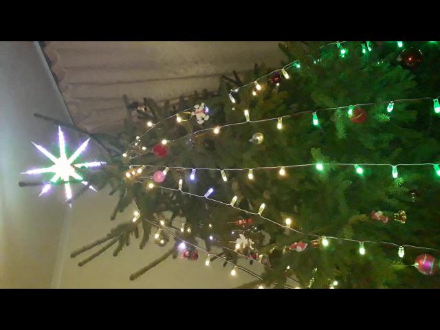 ������������ �����������