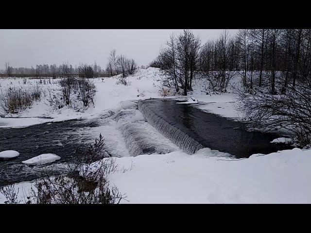 ������� ������ 2109�.