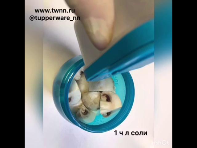 Tupperware ������������ ����������