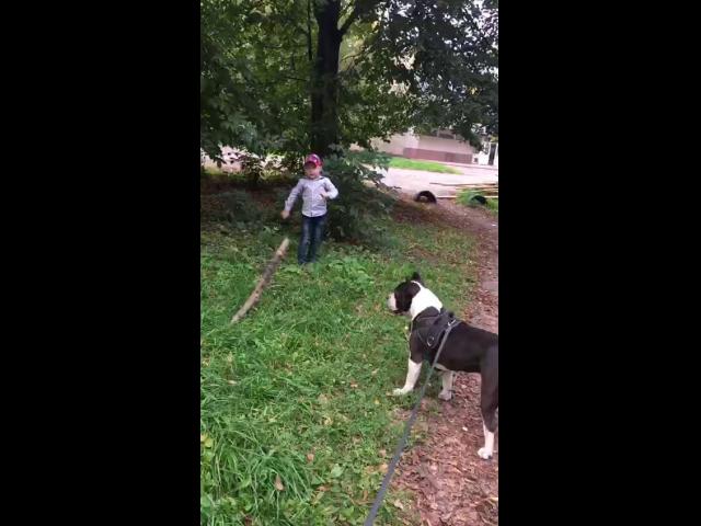 WhatsApp Video 2019-09-02 at 18.14.51