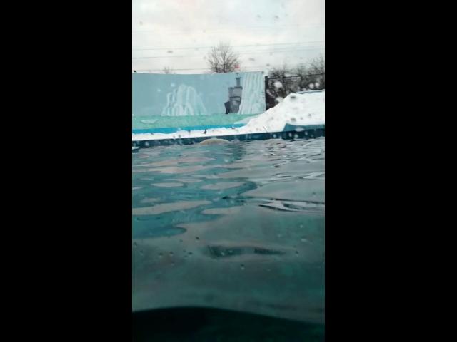 ������ 2020 �������