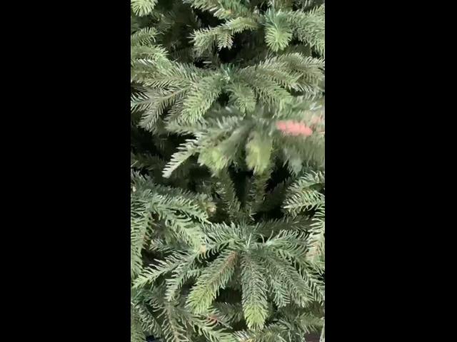 WhatsApp Video 2020-10-06 at 14.26.58