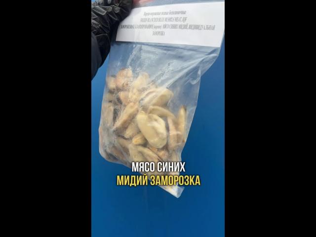 ���� ����� ����� ���������