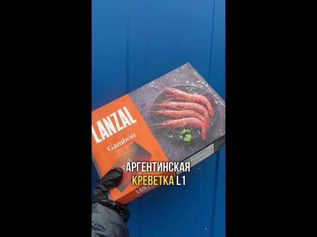 ������������ �������� L1