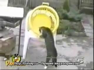 ��� ������� ����!