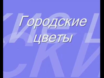 �������� ������-��������� �����