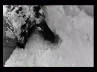 ������ �����, ��� ����� ������