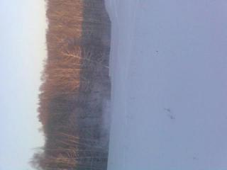 ����� ��� �� �� ����