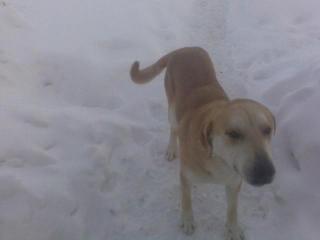 ������ �������� ������� � ������ ���������